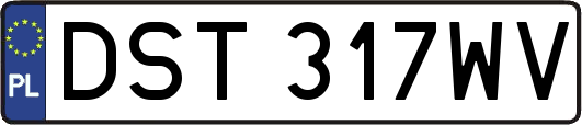 DST317WV