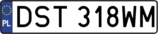 DST318WM