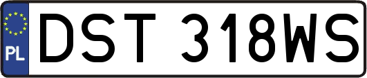 DST318WS
