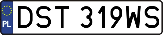 DST319WS