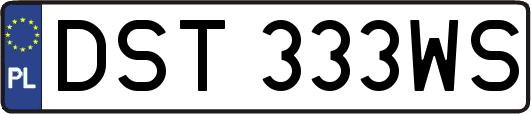 DST333WS