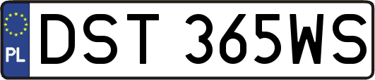DST365WS