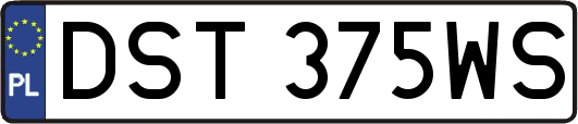 DST375WS
