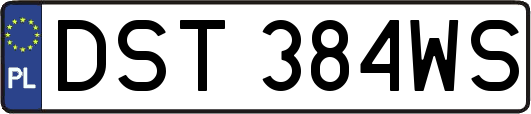 DST384WS