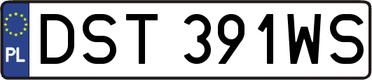 DST391WS