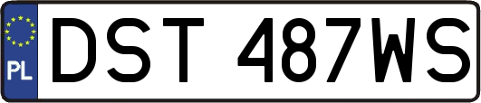 DST487WS