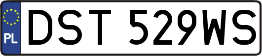 DST529WS