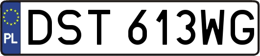 DST613WG