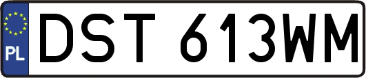 DST613WM