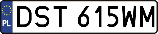 DST615WM