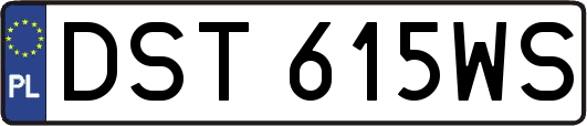 DST615WS