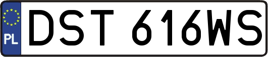 DST616WS