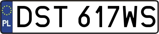 DST617WS
