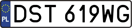 DST619WG