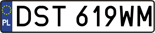 DST619WM