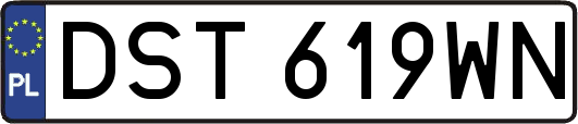 DST619WN