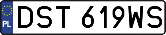 DST619WS