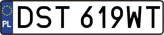 DST619WT
