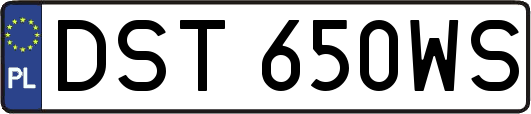 DST650WS
