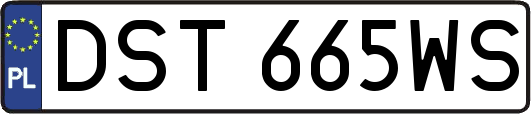DST665WS