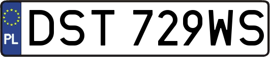 DST729WS