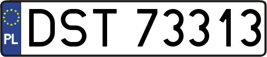 DST73313