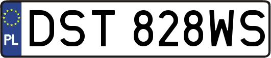 DST828WS