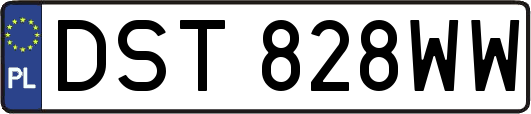 DST828WW