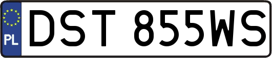 DST855WS