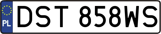 DST858WS