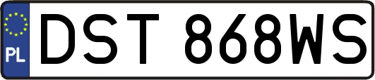 DST868WS