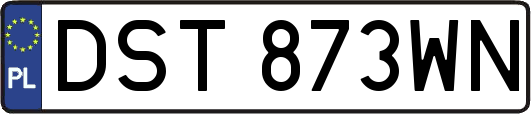 DST873WN