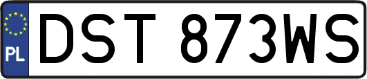 DST873WS