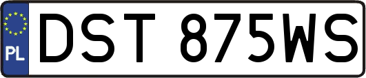 DST875WS