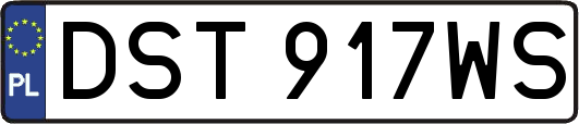 DST917WS