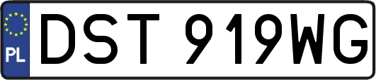 DST919WG