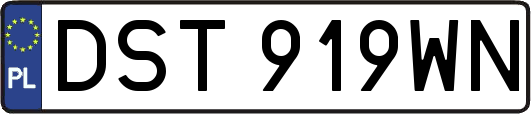 DST919WN