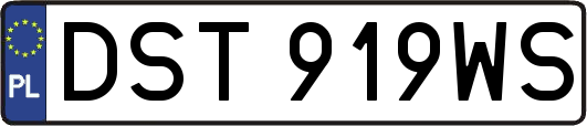 DST919WS