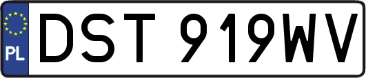 DST919WV