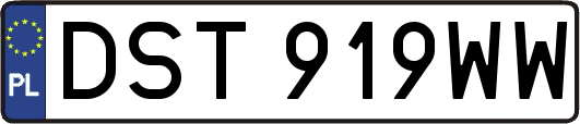 DST919WW