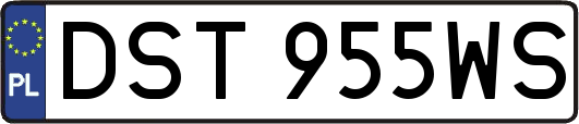 DST955WS