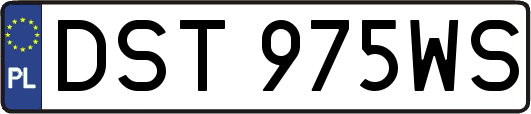 DST975WS