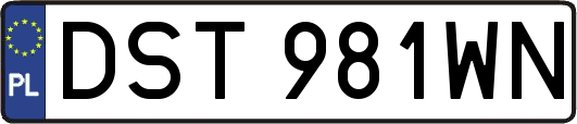 DST981WN