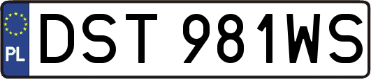 DST981WS