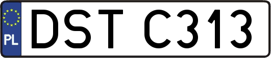DSTC313