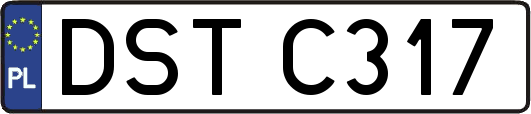 DSTC317