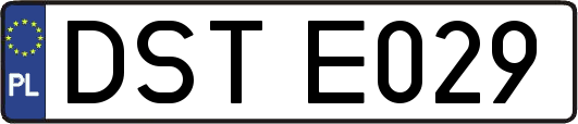DSTE029