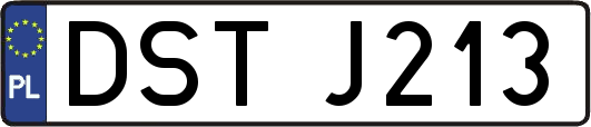 DSTJ213