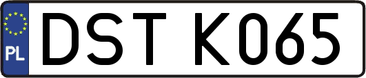 DSTK065