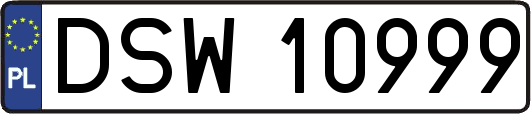 DSW10999